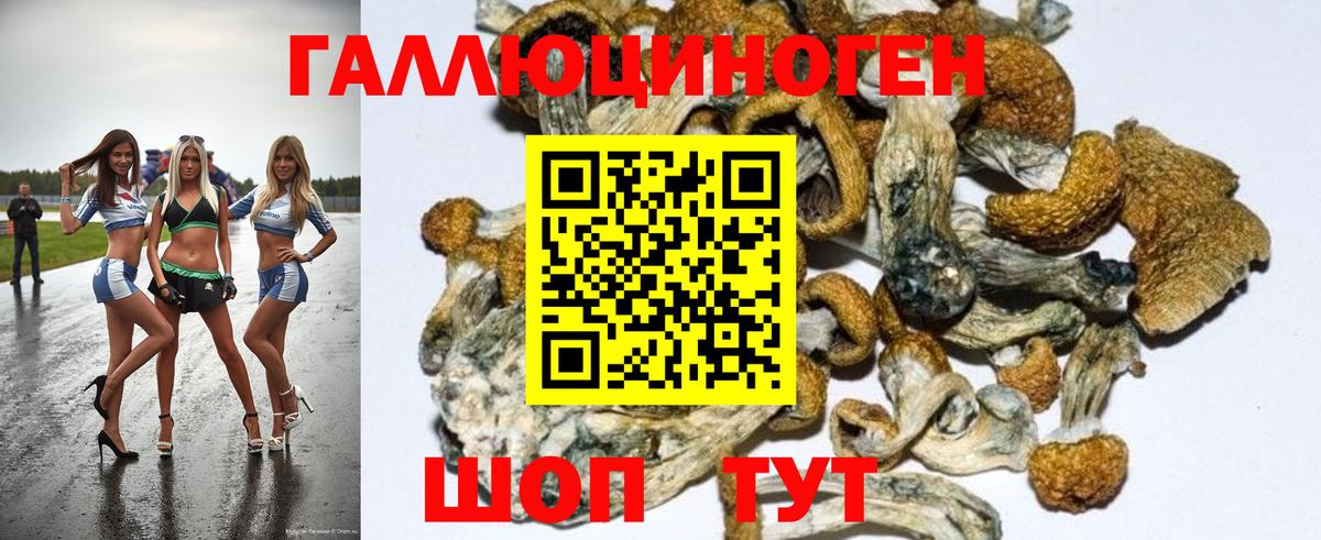 Можайск  Галлюциногенные грибы MAGIC MUSHROOMS  где продают   Вход с VPN 