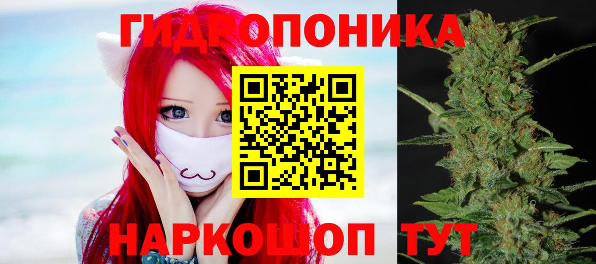 Бошки Шишки ГИДРОПОН Можайск